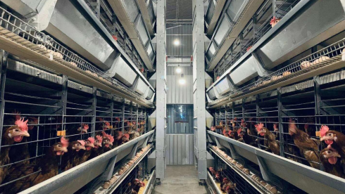 “無(wú)抗時(shí)代”對(duì)養(yǎng)殖場(chǎng)設(shè)備提出了哪些要求？