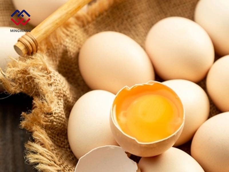 提高蛋雞產(chǎn)蛋率有妙招