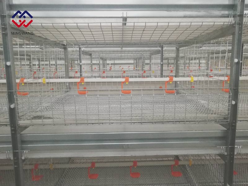 養(yǎng)雞怎樣選擇肉雞籠？