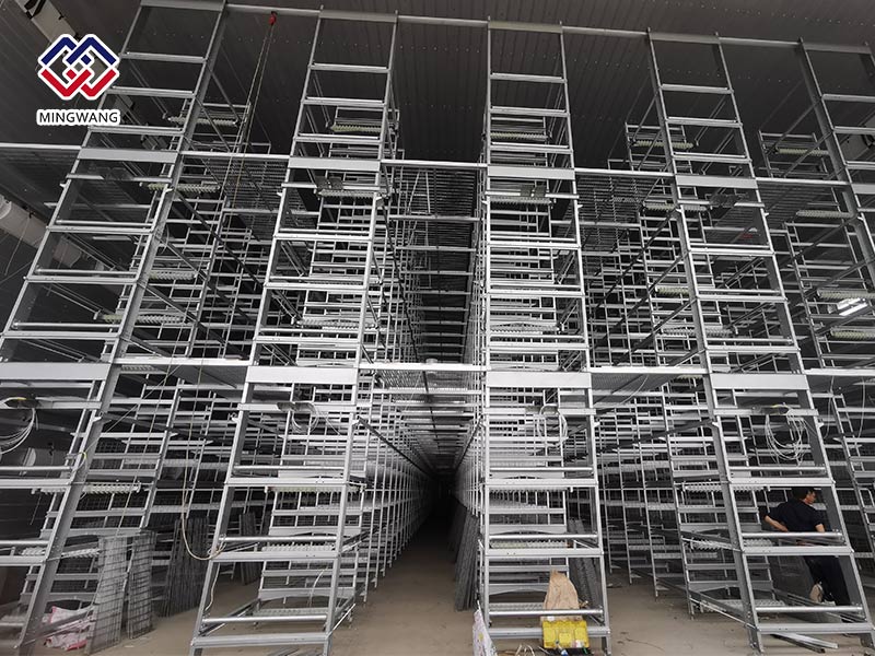 明旺籠養(yǎng)系統(tǒng)工程介紹