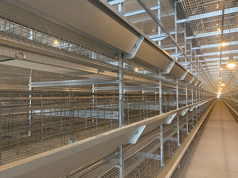 蛋雞設(shè)備日常該如何維護？明旺來告訴你