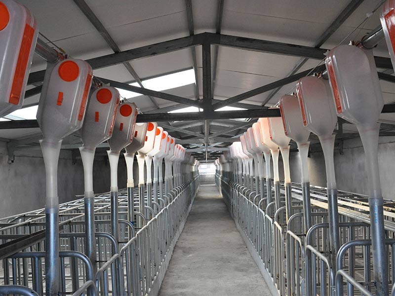 未來(lái)七年，中國(guó)豬肉產(chǎn)能將新增1400萬(wàn)頭！這類(lèi)養(yǎng)豬場(chǎng)前景廣闊！